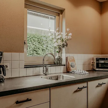 홀리데이파크 De Woude By Interhome